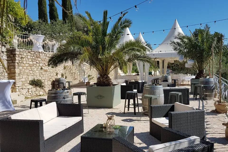 Domaine viticole en Provence — terrasse, tonneaux et oliviers