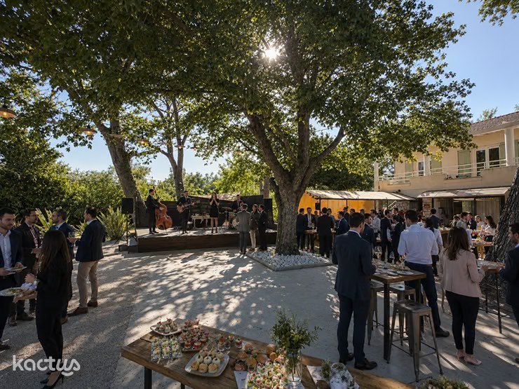 Cocktail d'entreprise avec musiciens dans les jardins de l'Oasis du Saule
