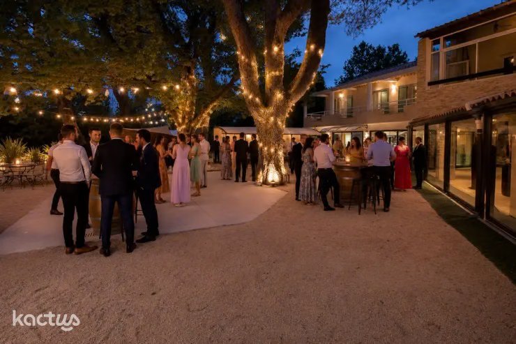 Soirée d'entreprise sous les guirlandes lumineuses de l'Oasis du Saule